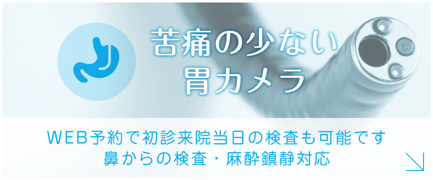 苦痛の少ない胃カメラ。WEB予約で初診来院当日の検査も可能です。鼻からの検査・麻酔鎮静対応。