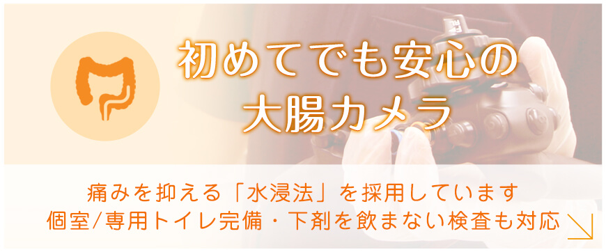 初めてでも安心の大腸カメラ。痛みを抑える「水浸法」を採用しています。個室/専用トイレ完備・下剤を飲まない検査も対応。