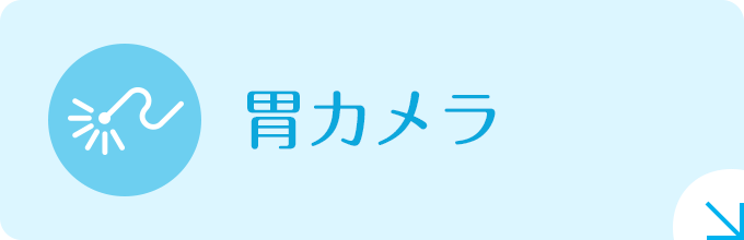 胃カメラ|詳しくはこちら