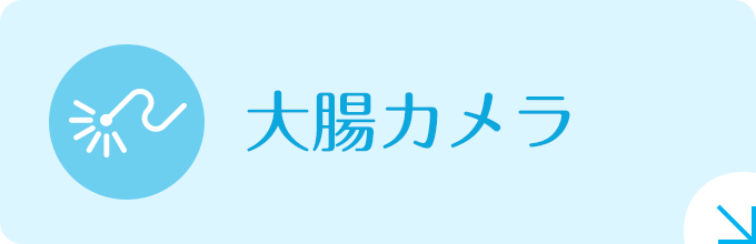 大腸カメラ|詳しくはこちら